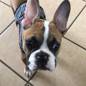 Meet your Posher, Angelica